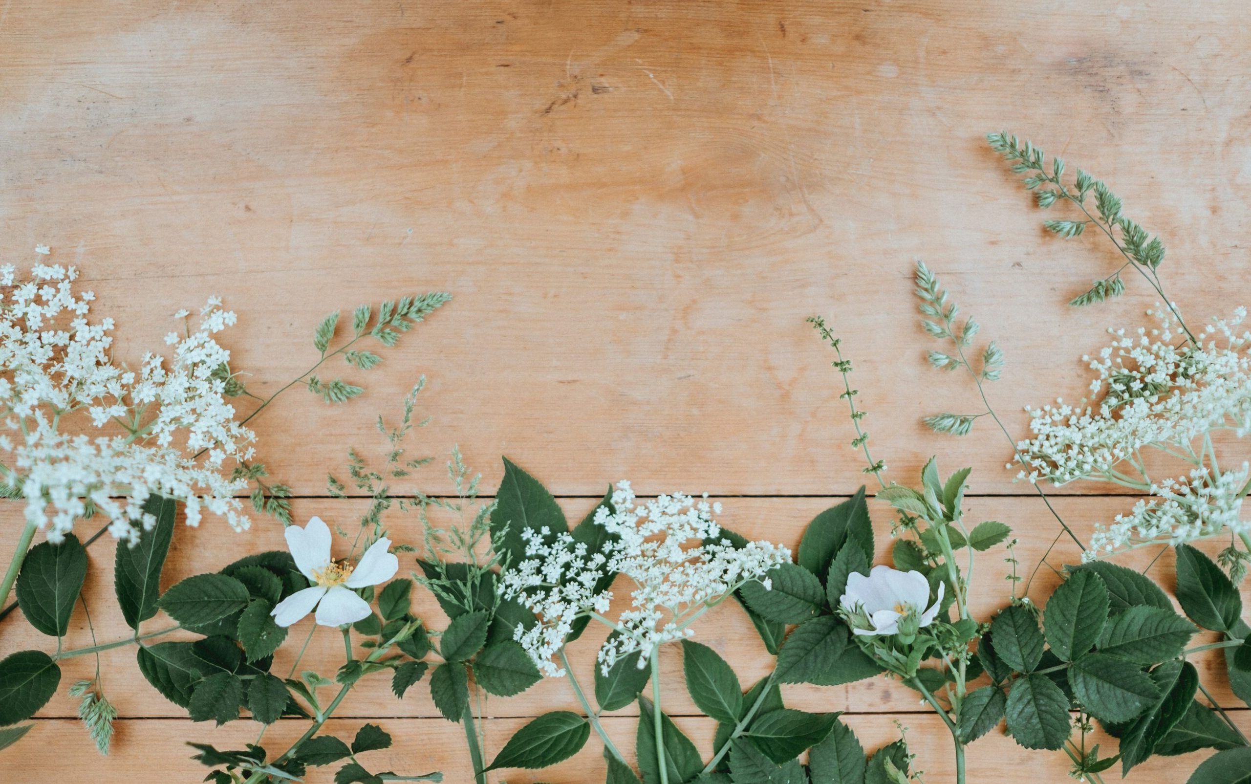 Sarggesteck mittel 55cm